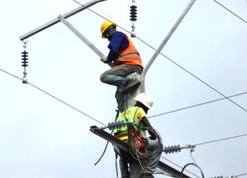 Our Services